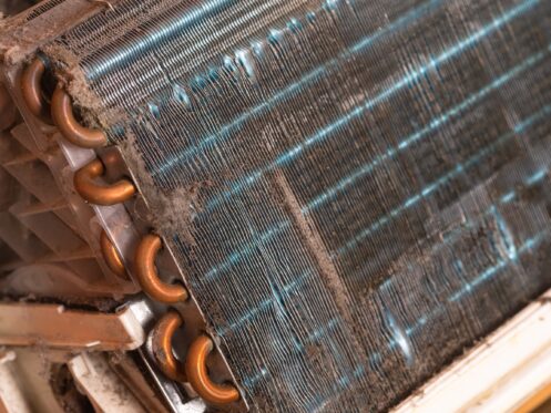 AC Maintenance in Clearwater, FL